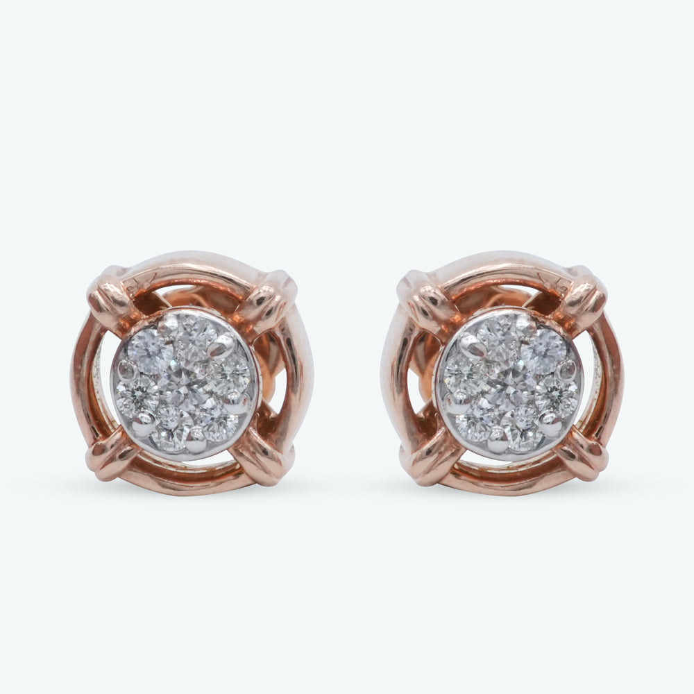 Classic Loop Earrings
