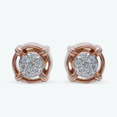 Classic Loop Earrings