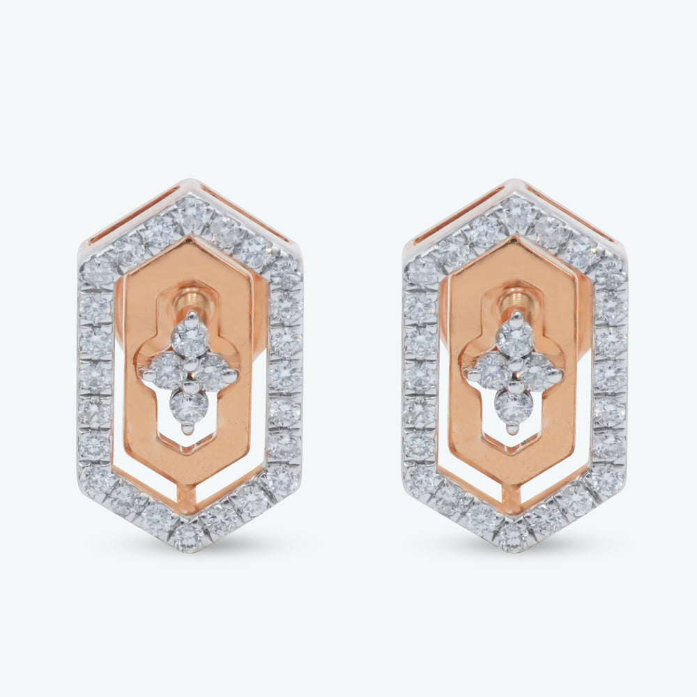 Petal Frame Earrings