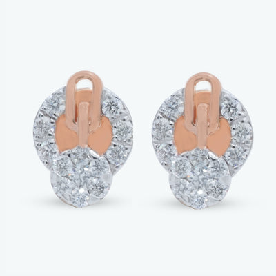 Oval Loop Earrings